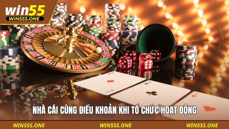 Nhà cái cùng điều khoản khi tổ chức hoạt động